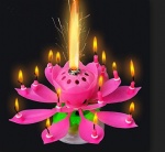 Playing Birthday Candle Lotus
